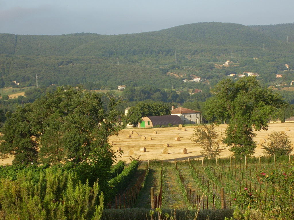 Agriturismo Regno Verde ナルニ エクステリア 写真