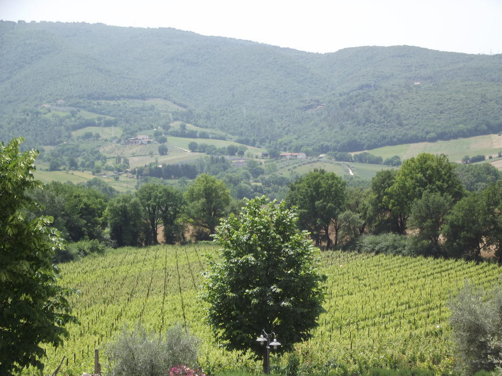 Agriturismo Regno Verde ナルニ エクステリア 写真
